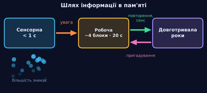 Шлях інформації в голові